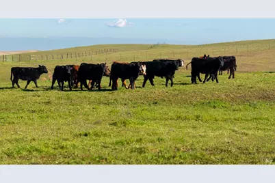 17775 Long Hollow Road, Corning, CA 96021 - Photo 3