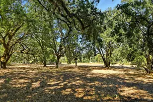 2487 Olivet Rd, Santa Rosa, CA 95401 - Photo 43