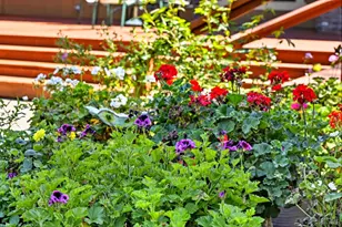 2487 Olivet Rd, Santa Rosa, CA 95401 - Photo 37