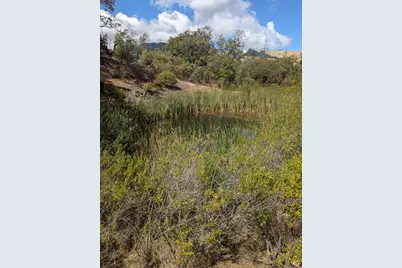 59002 George Washington Rock Road, Leggett, CA 95585 - Photo 7