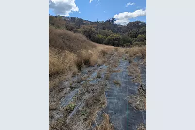 59002 George Washington Rock Road, Leggett, CA 95585 - Photo 15