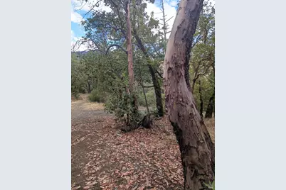 59002 George Washington Rock Road, Leggett, CA 95585 - Photo 9