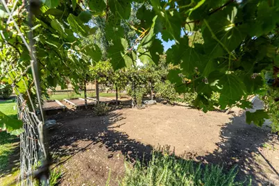 8301 West Side Potter Valley Road, Potter Valley, CA 95469 - Photo 43