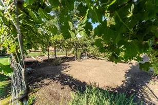 8301 West Side Potter Valley Rd, Potter Valley, CA 95469 - Photo 43