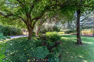 8301 West Side Potter Valley Rd, Potter Valley, CA 95469 - Photo 47