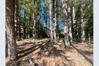 25201 Sherwood Road, Willits, CA 95490 - Photo 3