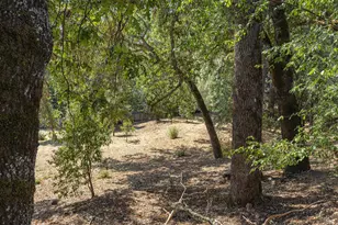 525 Keyes Ave, Angwin, CA 94508 - Photo 45