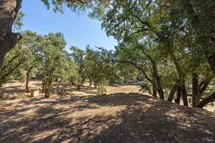 525 Keyes Ave, Angwin, CA 94508 - Photo 9