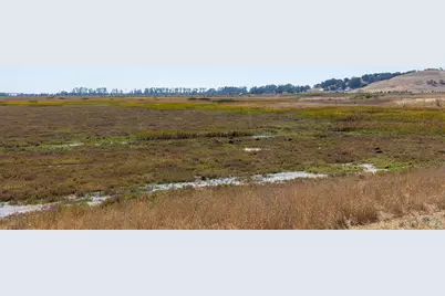 91 S Newport Drive, Napa, CA 94559 - Photo 33