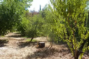 548 Milani Dr, Ukiah, CA 95482 - Photo 35