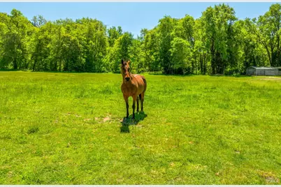 3901 Canyon Road, Willits, CA 95490 - Photo 35