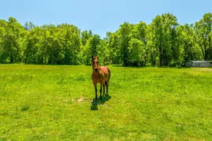 3901 Canyon Rd, Willits, CA 95490 - Photo 35