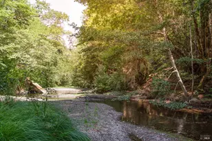 1500 Old Cazadero Rd, Cazadero, CA 95421 - Photo 45