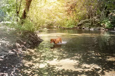 1500 Old Cazadero Road, Cazadero, CA 95421 - Photo 41