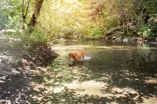 1500 Old Cazadero Rd, Cazadero, CA 95421 - Photo 41