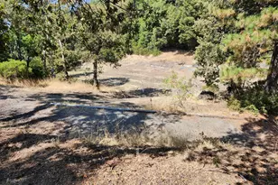 5635 Iron Peak Rd, Laytonville, CA 95454 - Photo 7