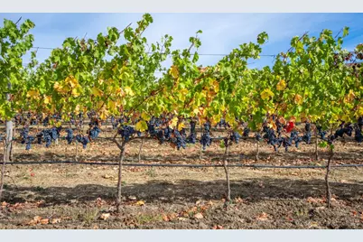 3800 Jameson Canyon Road, Napa, CA 94558 - Photo 7