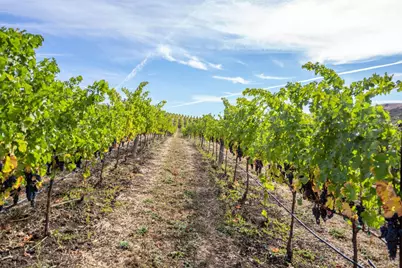 3800 Jameson Canyon Road, Napa, CA 94558 - Photo 13