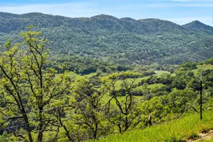 95 Longhorn Ridge Rd, Napa, CA 94558 - Photo 17