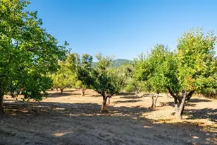 28670 Hwy 128, Yorkville, CA 95449 - Photo 29