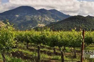 8 San Lucas Ct, Saint Helena, CA 94574 - Photo 27