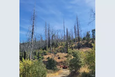 6998 Pine Road, Lucerne, CA 95458 - Photo 1