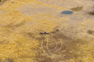 4203 Independence Ln, Vacaville, CA 95688 - Photo 51