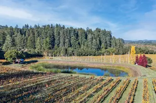 7680 Hwy 128 Hwy, Philo, CA 95466 - Photo 45