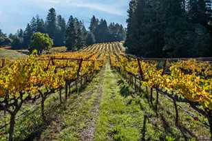 7680 Hwy 128 Hwy, Philo, CA 95466 - Photo 5