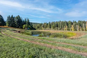 7680 Hwy 128 Hwy, Philo, CA 95466 - Photo 39