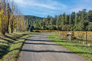 7680 Hwy 128 Hwy, Philo, CA 95466 - Photo 57