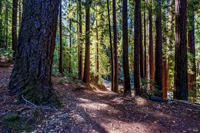 4350 Cazadero Highway, Cazadero, CA 95421 - Photo 57