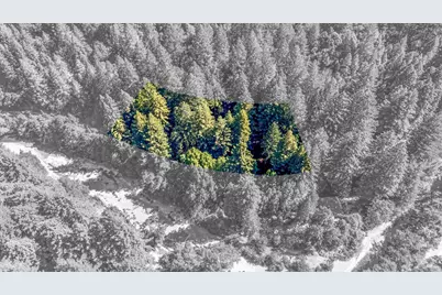 4350 Cazadero Highway, Cazadero, CA 95421 - Photo 47