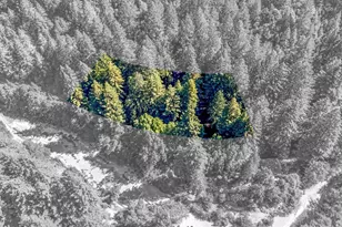 4350 Cazadero Hwy, Cazadero, CA 95421 - Photo 47