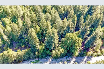 4350 Cazadero Highway, Cazadero, CA 95421 - Photo 49