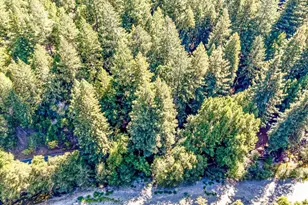 4350 Cazadero Hwy, Cazadero, CA 95421 - Photo 49