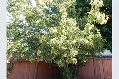 2854 16th Street, San Pablo, CA 94806 - Photo 25