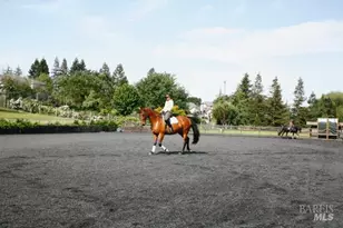 497 Laguna Vista Rd, Santa Rosa, CA 95401 - Photo 15