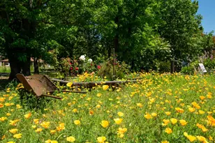 4020 Madera Ave, Santa Rosa, CA 95407 - Photo 29