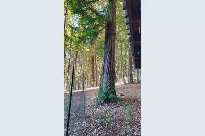 4020 Ridge Circle, Willits, CA 95490 - Photo 29