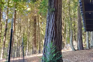 4020 Ridge Cir, Willits, CA 95490 - Photo 29