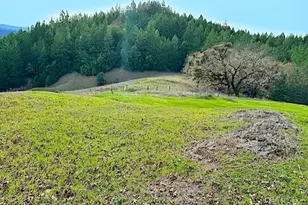 5700 High Point Rd, Willits, CA 95490 - Photo 3