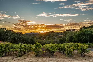 1790 Warm Springs Rd, Glen Ellen, CA 95442 - Photo 67