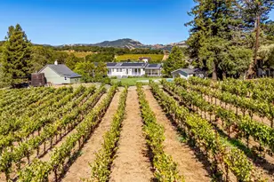 1790 Warm Springs Rd, Glen Ellen, CA 95442 - Photo 65