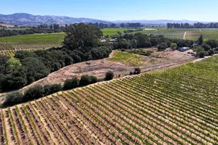 3316 Sonoma Hwy, Napa, CA 94559 - Photo 9