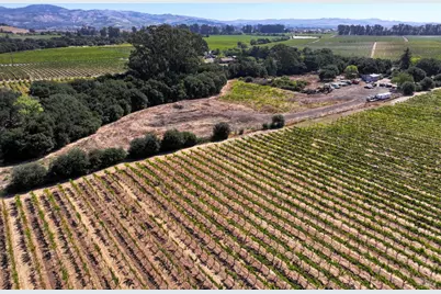 3316 Sonoma Highway, Napa, CA 94559 - Photo 5