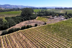 3316 Sonoma Hwy, Napa, CA 94559 - Photo 5