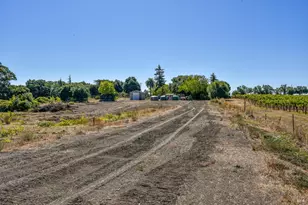 3316 Sonoma Hwy, Napa, CA 94559 - Photo 37