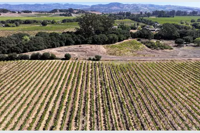 3316 Sonoma Highway, Napa, CA 94559 - Photo 3