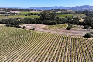 3316 Sonoma Hwy, Napa, CA 94559 - Photo 11